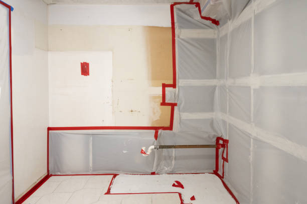Best Mold Documentation for Insurance Claims  in Gallup, NM