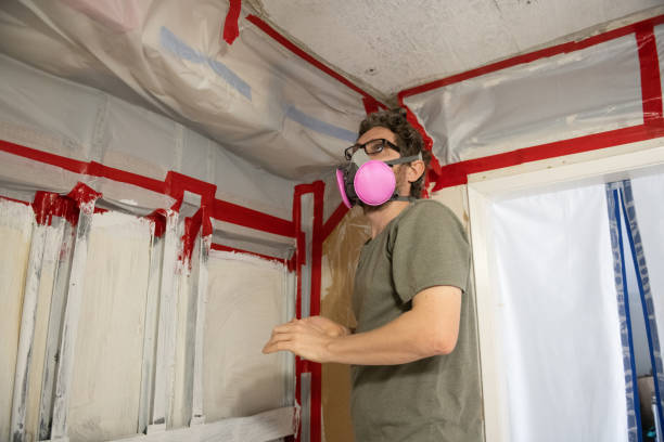 Best Air Quality Testing for Mold Spores  in Gallup, NM