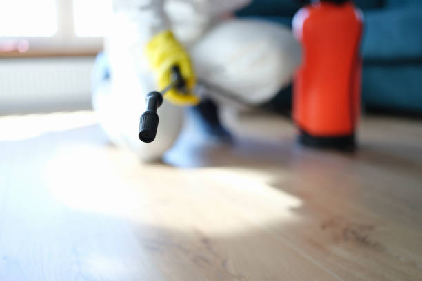 Forensic Mold Investigation in Gallup, NM