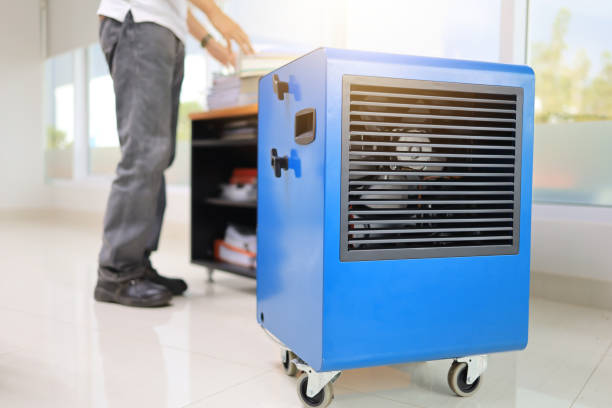 Best Residential Mold Inspection & Testing  in Gallup, NM